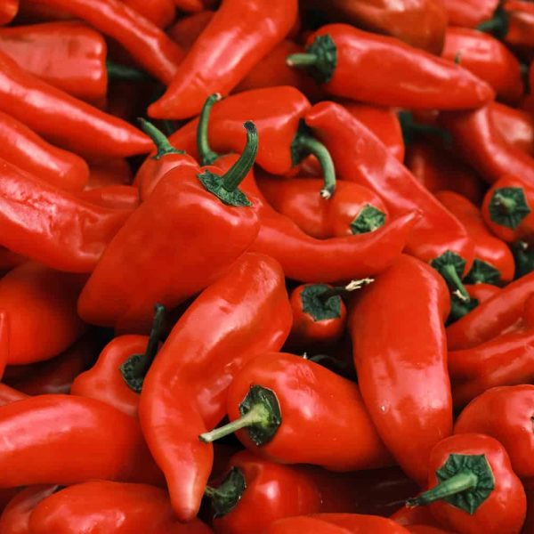 red-chili-00